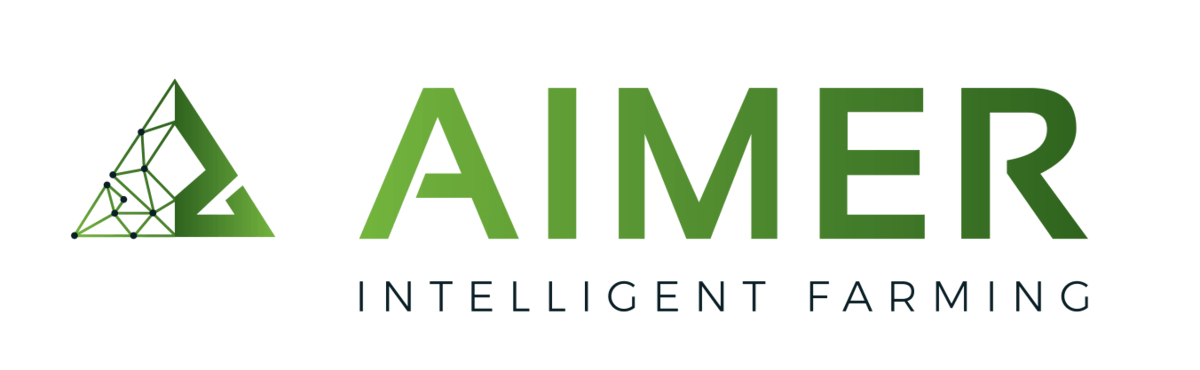 Aimer Development Limited