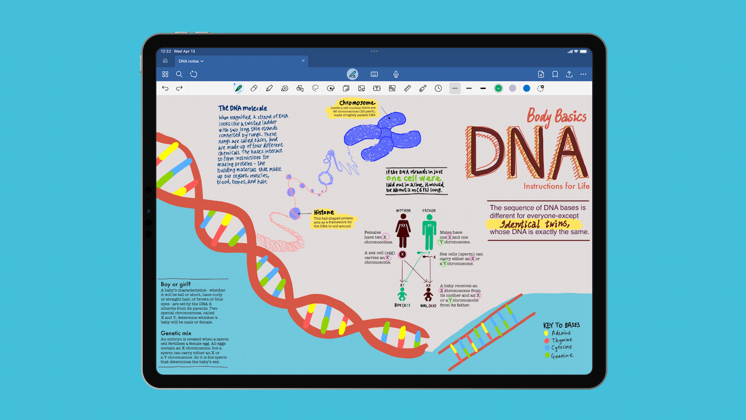 Goodnotesを映したiPadのスクリーンショット。「DNA」というタイトルのもと、二重らせん状のグラフィック、メモ、その他の小さなイラストが手書きで描かれている。