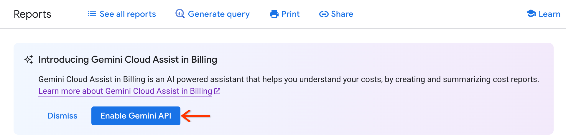 Gemini Cloud Assist en Facturación de Cloud aún no se puede usar en los informes de facturación.