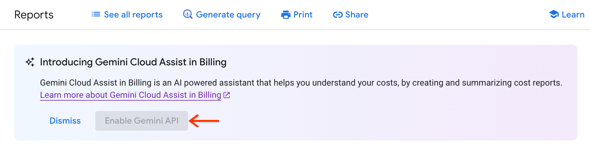 Gemini Cloud Assist dans Cloud Billing n'est pas activé pour une utilisation dans les rapports sur la facturation.