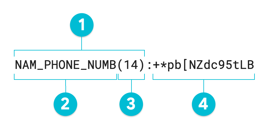 Diagrama anotado de um valor tokenizado através do método de transformação de encriptação que preserva o formato.
