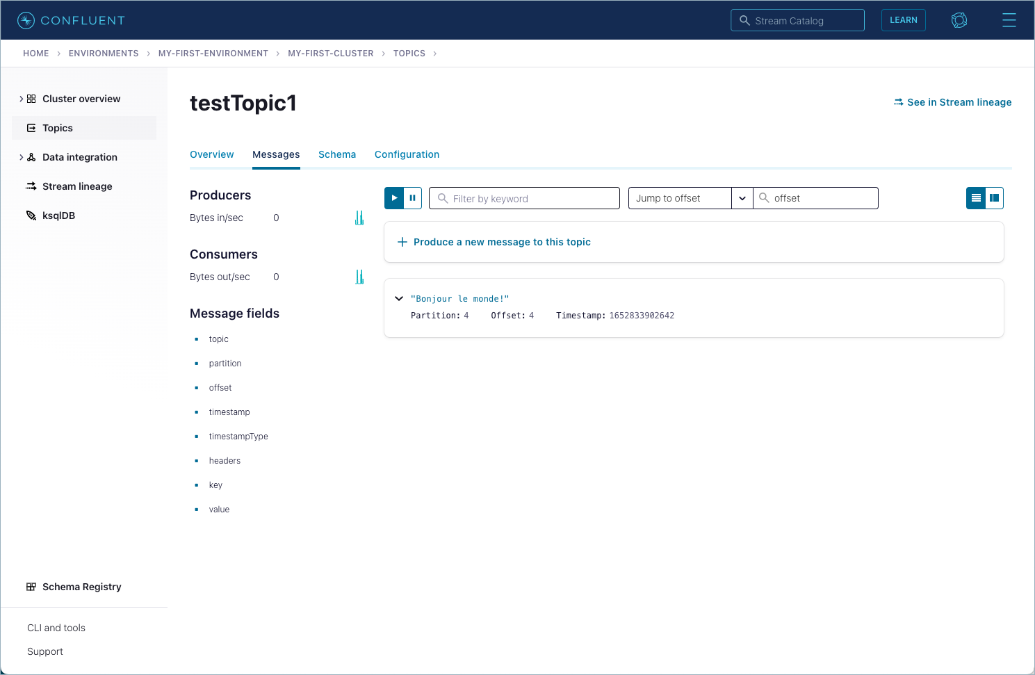 ../_images/rest-api-qs-produce-single-record.png