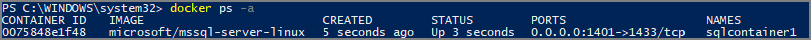 Docker ps command output