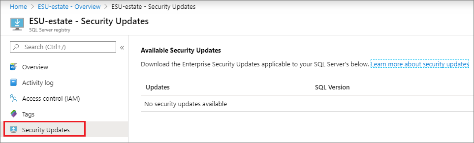 Check security updates pane for available updates