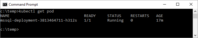 Screenshot of get pod command