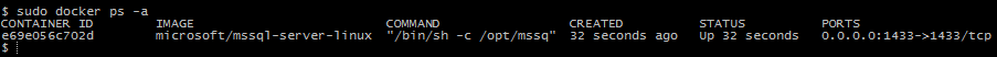 Docker ps command output