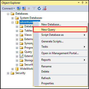 New query. Connect to SQL Database server: SQL Server Management Studio