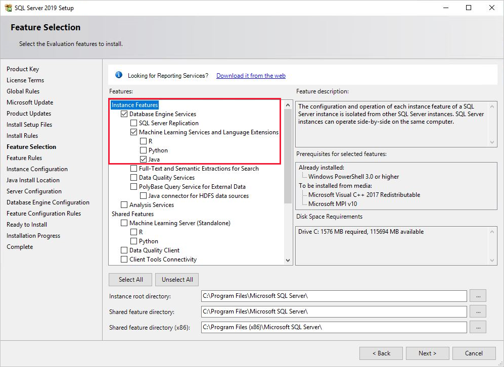 Feature options for Language Extensions