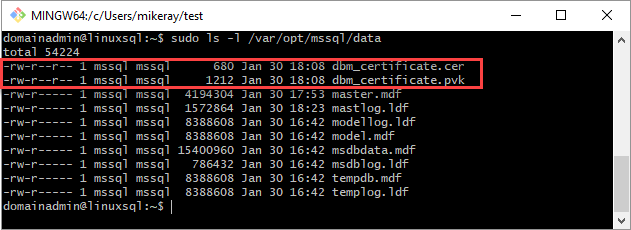 Enable Availability Groups Linux
