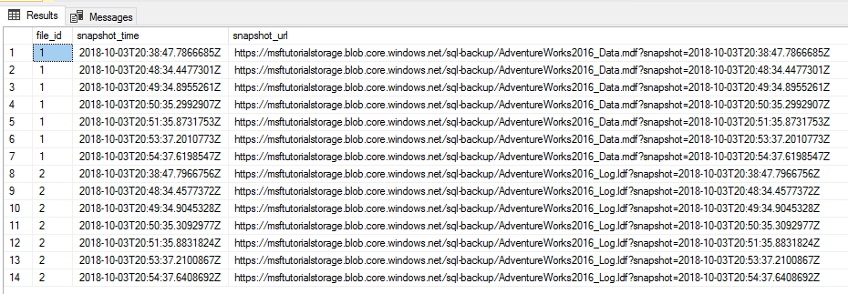 Results pane showing 2 file snapshots deleted