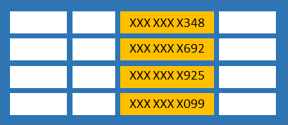 Dynamic data masking