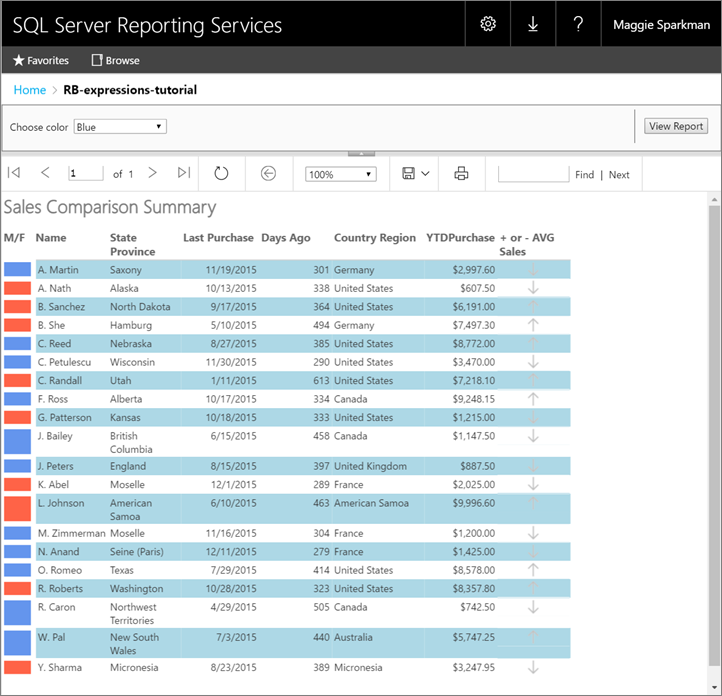 report-builder-expression-tutorial-final-in-browser
