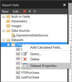 report-builder-expression-tutorial-rename-dataset