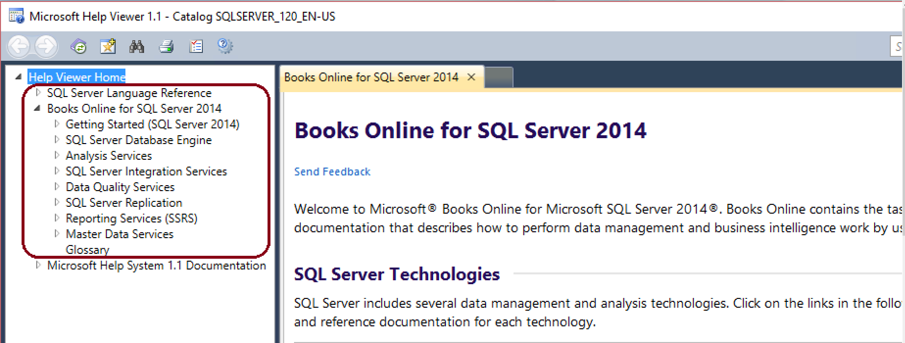 HelpViewer1_withContentInstalled_ZoomedIn