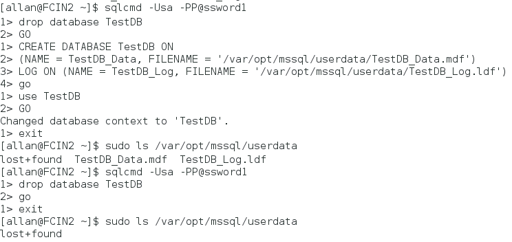 15-createtestdatabase
