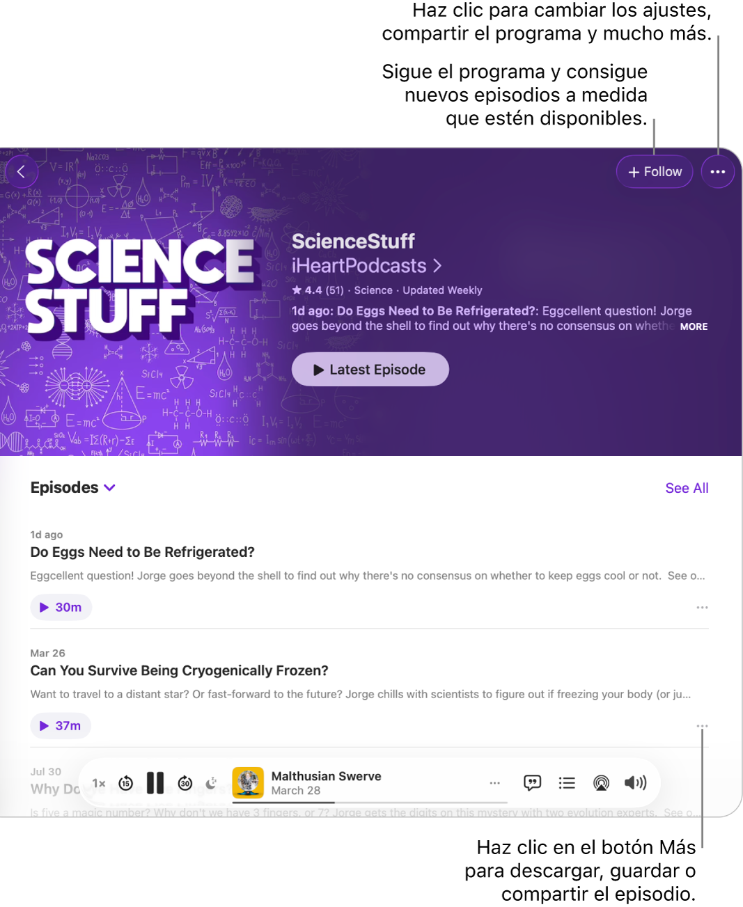 Una ventana de Podcasts que muestra una lista de episodios de un podcast. El botón Seguir situado en la parte superior de la ventana te permite seguir la serie, y el botón Más situado junto a cada episodio te permite descargar o guardar el episodio.