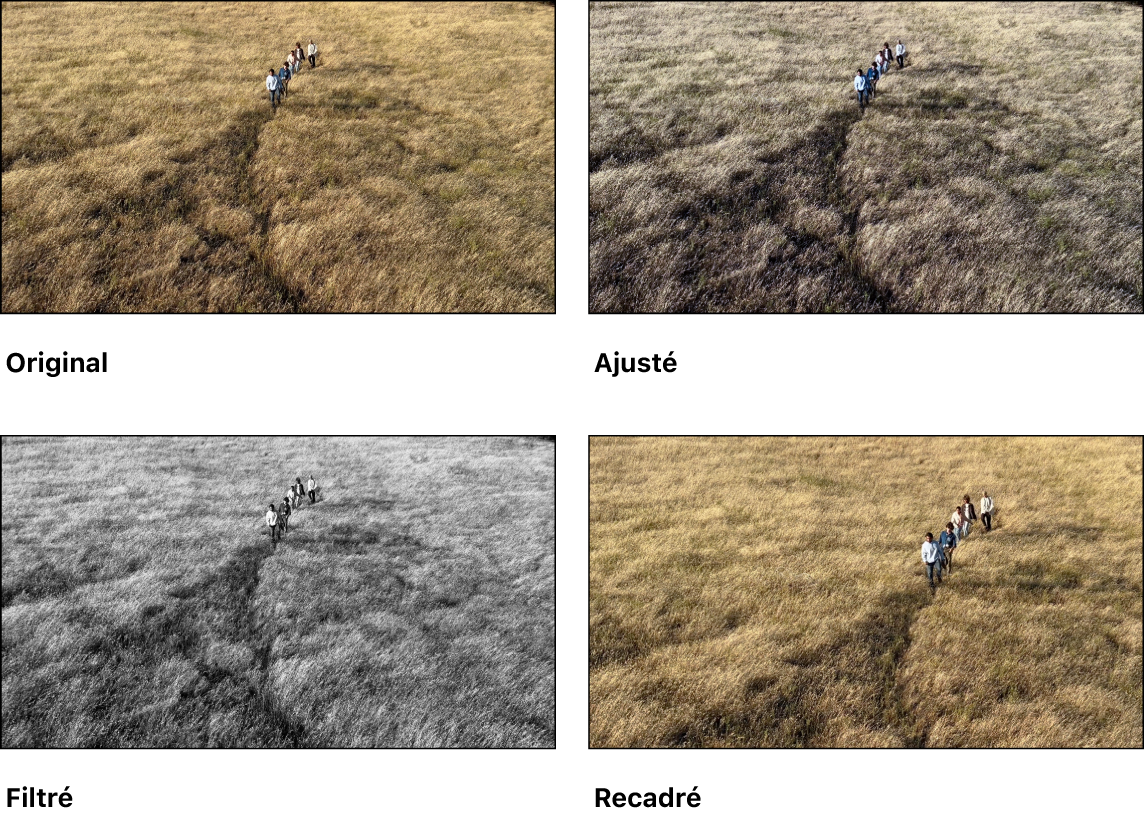 Quatre versions d’une vidéo : la vidéo originale, une version avec des ajustements, une version avec un filtre et une version qui est recadrée pour créer un gros plan.