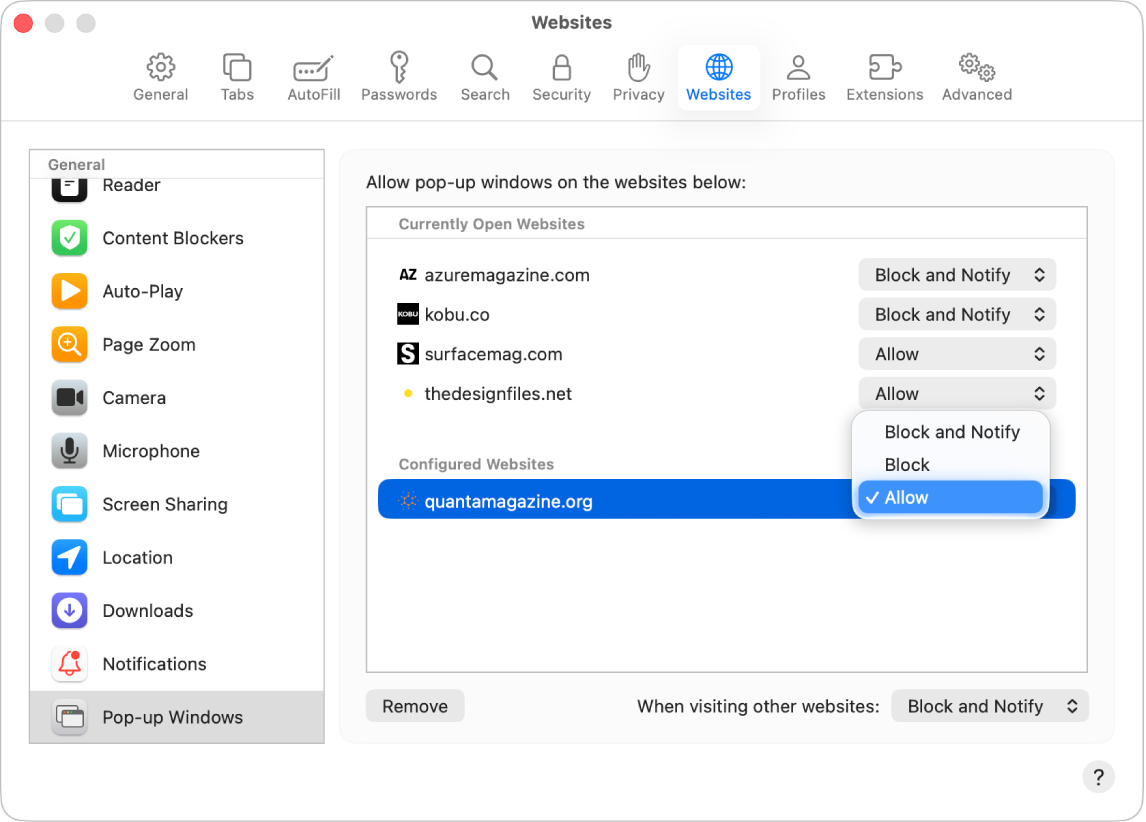 Het paneel 'Pop‑upvensters' in de instellingen voor Safari, met 'Sta toe' geselecteerd voor een geconfigureerde website.
