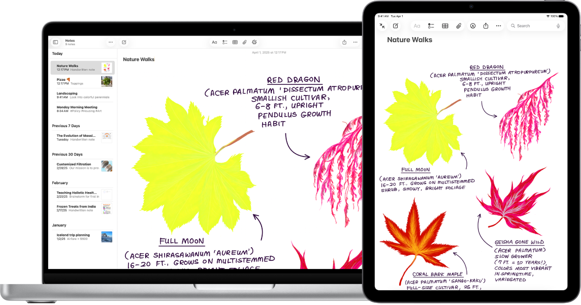 جهاز iPad يعرض رسمًا تخطيطيًا، بجوار Mac حيث يظهر الرسم التخطيطي في ملاحظة.