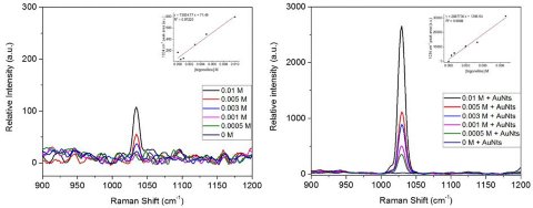 Raman spectra of trigonelline solutions without gold nanotriangles (left) and with gold nanotriangles (right). Inserts show the calibration curves of trigonelline solutions using the 1034 cm-1 peak area within a 1010-1045 cm-1 spectral window.