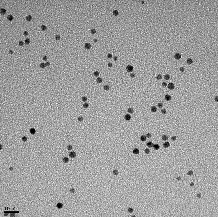 Soluzione di nanoparticelle di oro colloidale