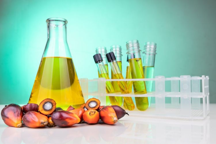 Screening e controllo qualità dell'olio di palma con spettroscopia NIR