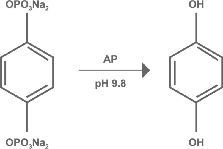 Idrochinone difosfato