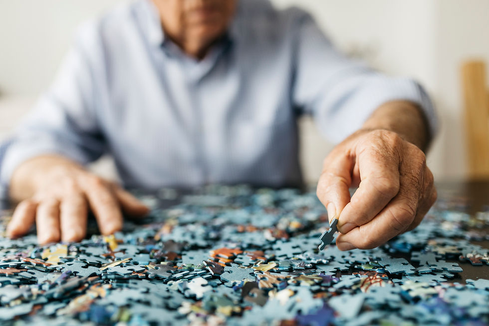Puzzles Teach Skills to People of All Abilities for Lifetime