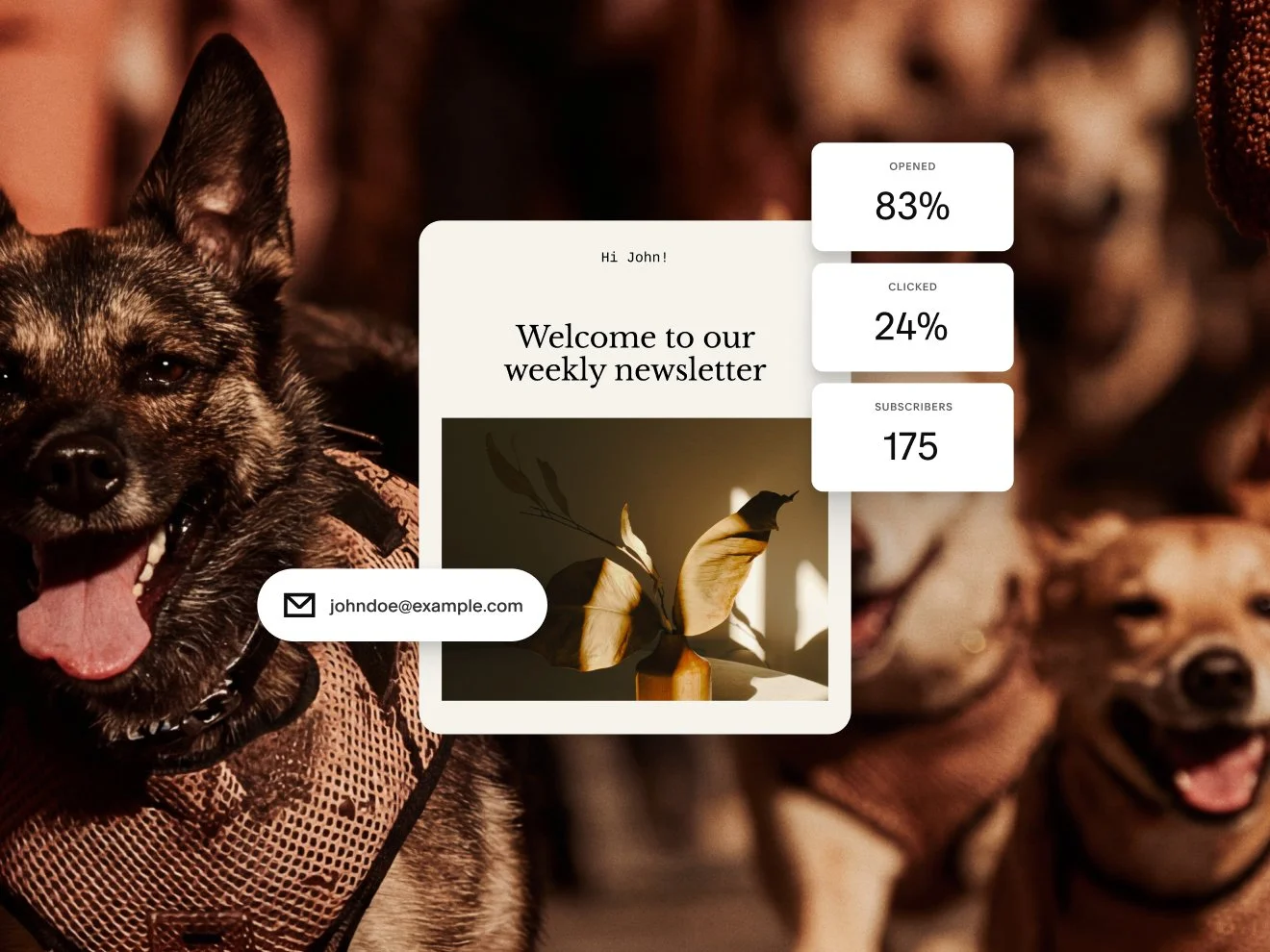 A design for an email newsletter showing statistics for an email campaign, including 83% opened, 24% clicked, and 175 subscribers.