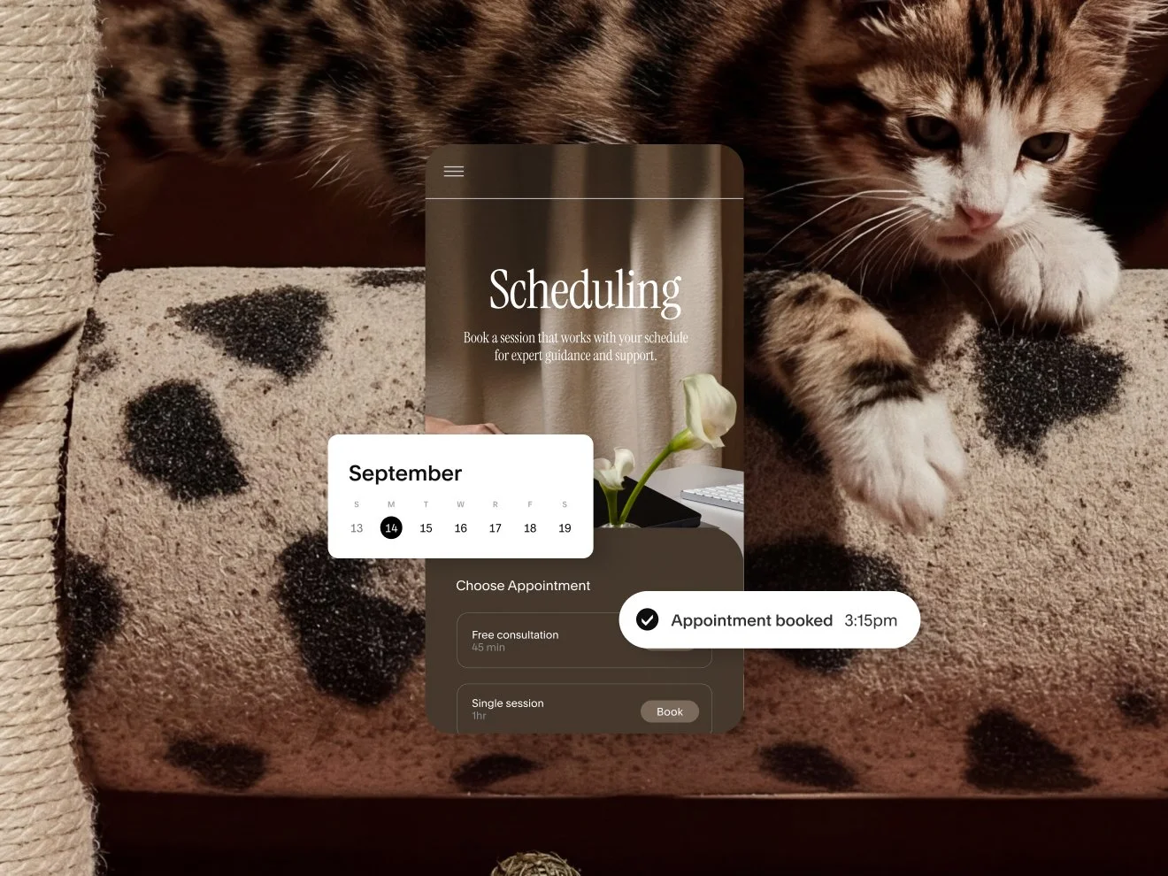A mobile scheduling interface displaying a September calendar, a selection of appointment types (like 'Free consultation'), and a confirmation that an 'Appointment booked' at 3:15 pm.