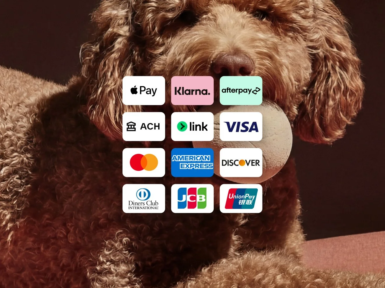 A grid of logos for various global payment methods and credit cards, including Apple Pay, Klarna, Afterpay, ACH, Visa, Mastercard, American Express, and Discover.