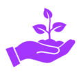 STC12082_Icon_collation_purple_V1-22-tiny.png