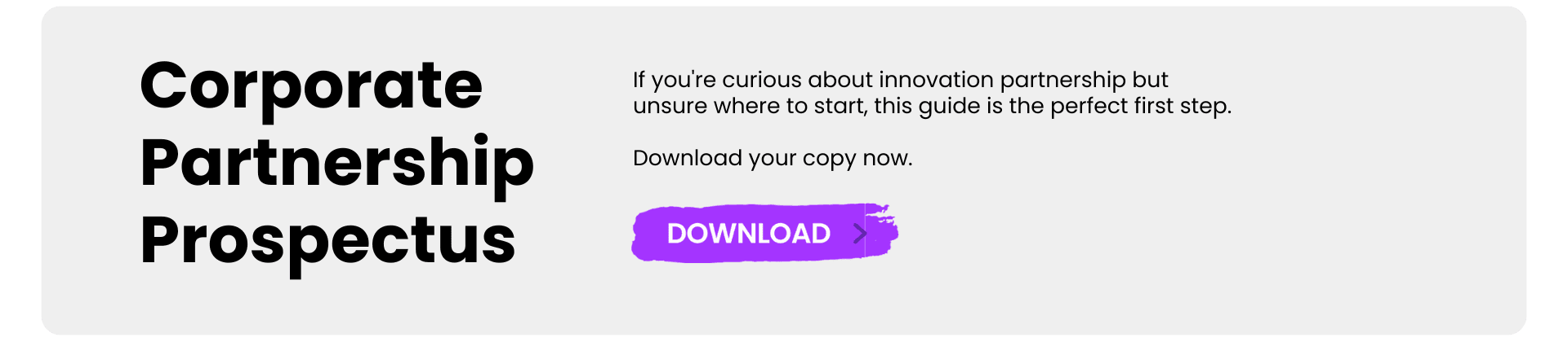 lead-magnet-partnership-prospectus-grey-tight.png
