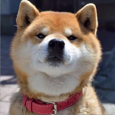 @taj3991