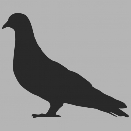 @JuniorJPDJ
