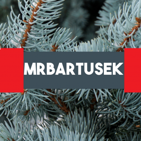 @MrBartusek
