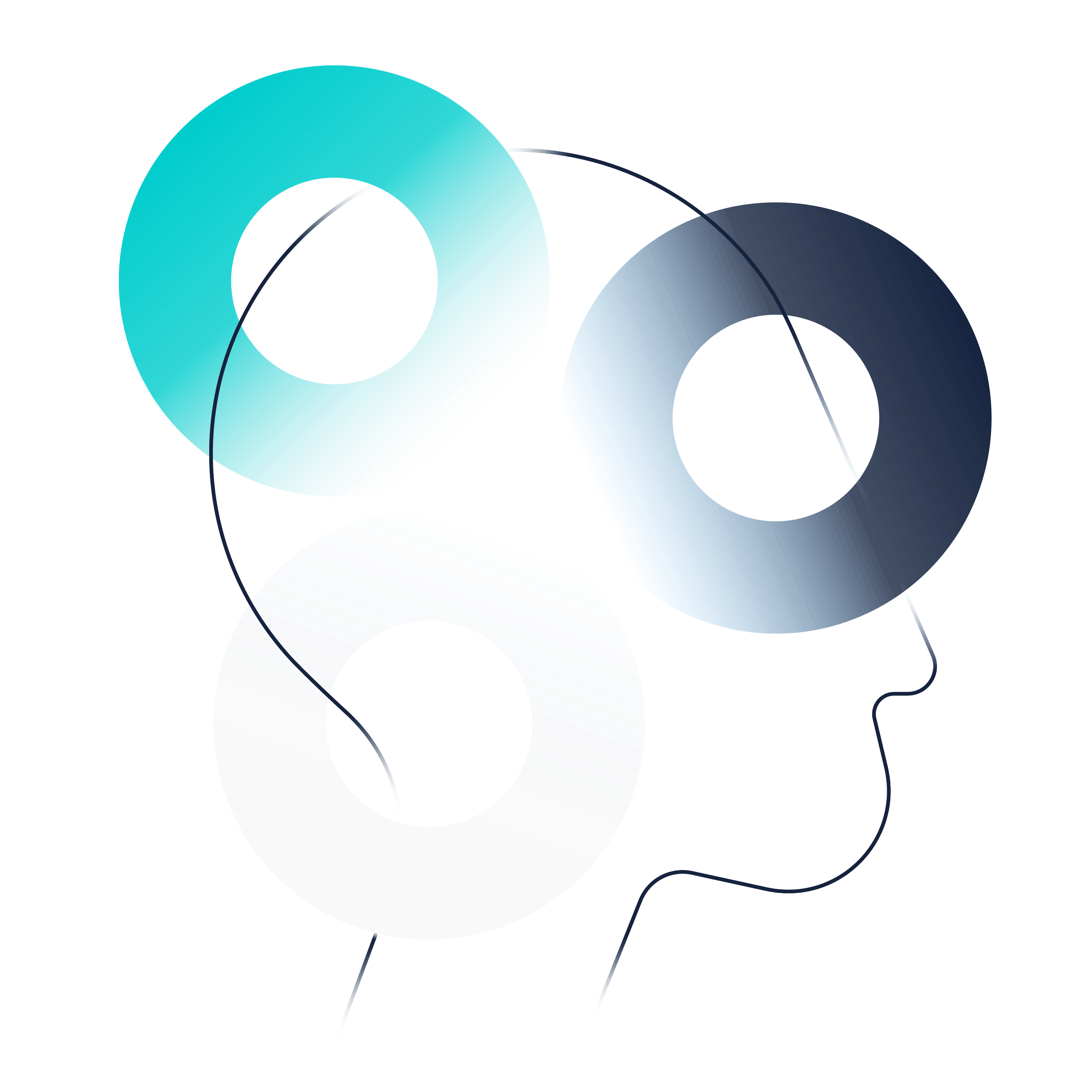 Expertise illustration